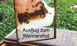 Ausflug zum Museumsbauernhof Wennerstorf